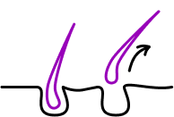 Лікування волосся іконка